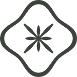 Centro dentale Pellegrino